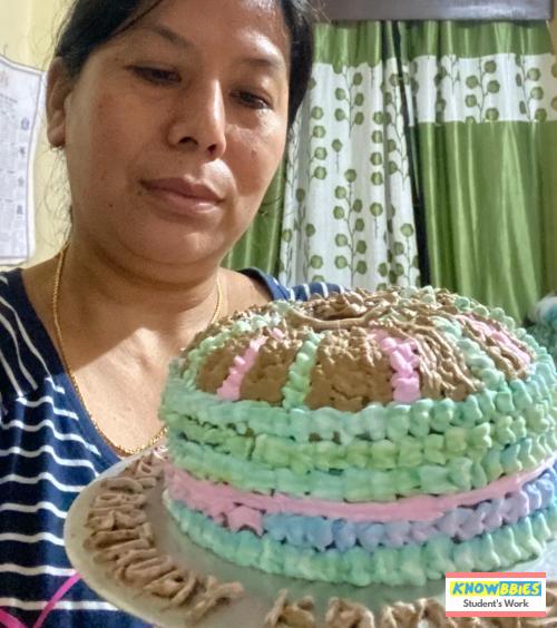 Online Course in East Sikkim For Birthday Cakes + Fondant Cake : Baking & Icing Video Course (Pre-recorded) in Hindi