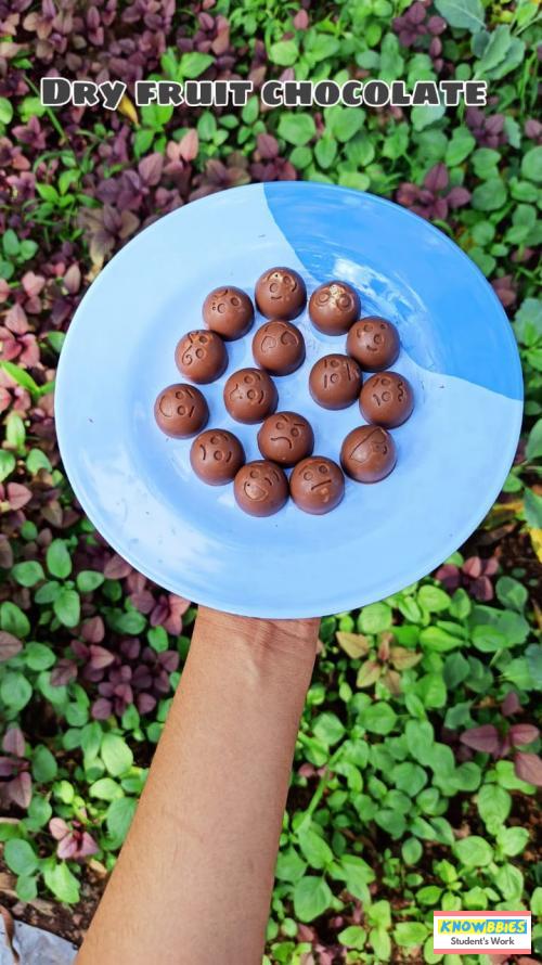 Online Course in Panjim For Chocolate Making Video Course (Pre-Recorded) in Hindi