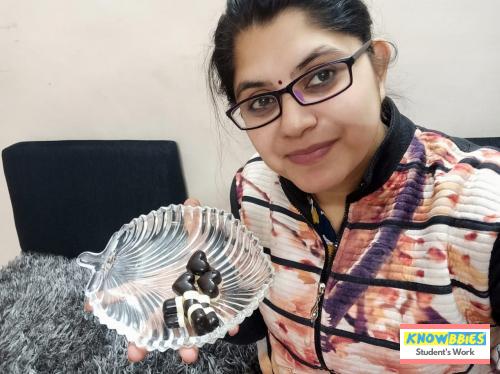 Online Course in Jodhpur For Chocolate Making Video Course (Pre-Recorded) in Hindi
