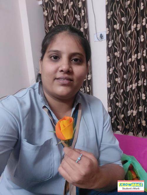 Online Course in Nagpur For Paper Flower Chocolate Bouquet Making Video Course (Pre-Recorded) in Hindi