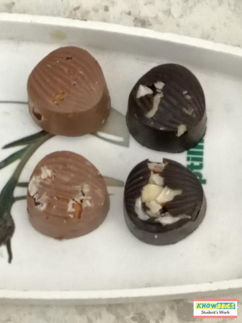 Online Course in Bhavnnagar For Chocolate Making Video Course (Pre-Recorded) in Hindi