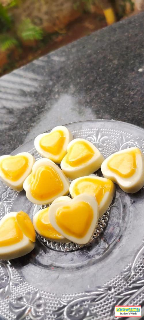 Online Course in Nashik For Chocolate Making Video Course (Pre-Recorded) in Hindi