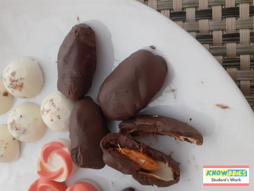Online Course in Jaipur For Chocolate Making Video Course (Pre-Recorded) in Hindi