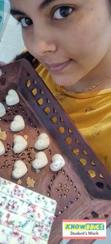 Online Course in Panipat For Chocolate Making Video Course (Pre-Recorded) in Hindi