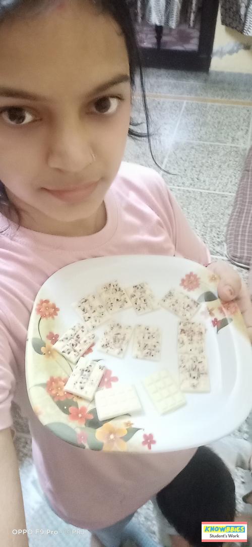 Online Course in Gurgaon For Chocolate Making Video Course (Pre-Recorded) in Hindi