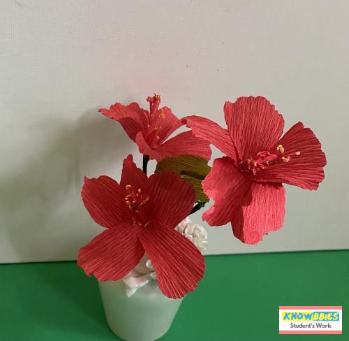 Online Course in Pune For Paper Flower Chocolate Bouquet Making Video Course (Pre-Recorded) in Hindi