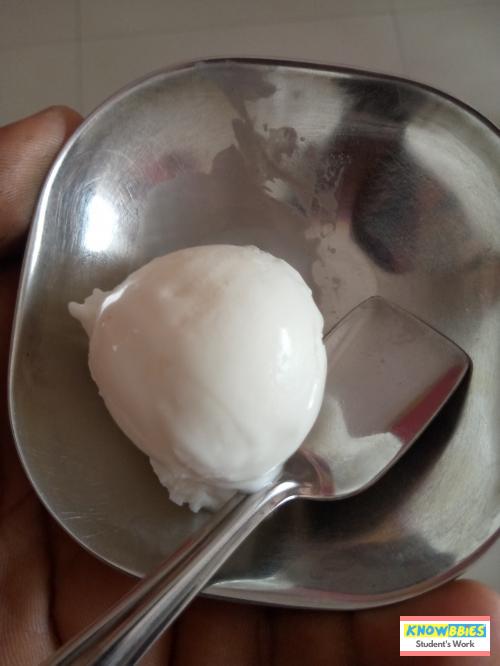Online Course in Mungi For Ice Cream Making Video Course (Pre-recorded) in Hindi