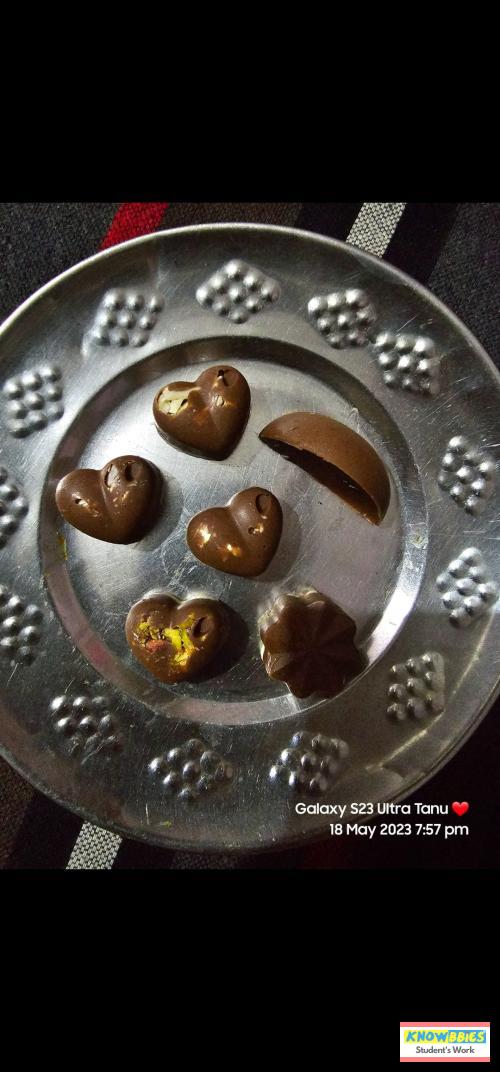 Online Course in Damoh For Chocolate Making Video Course (Pre-Recorded) in Hindi